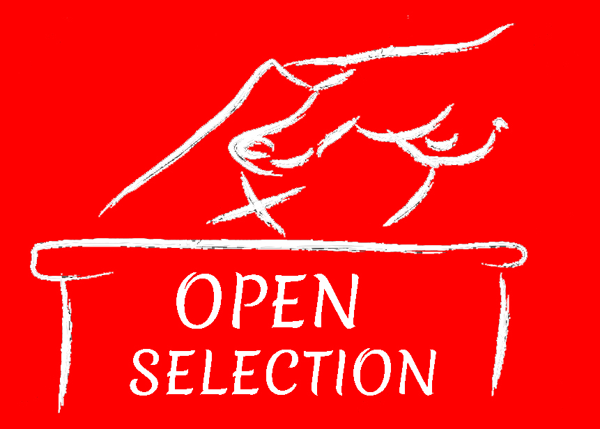 Open selection of political representatives